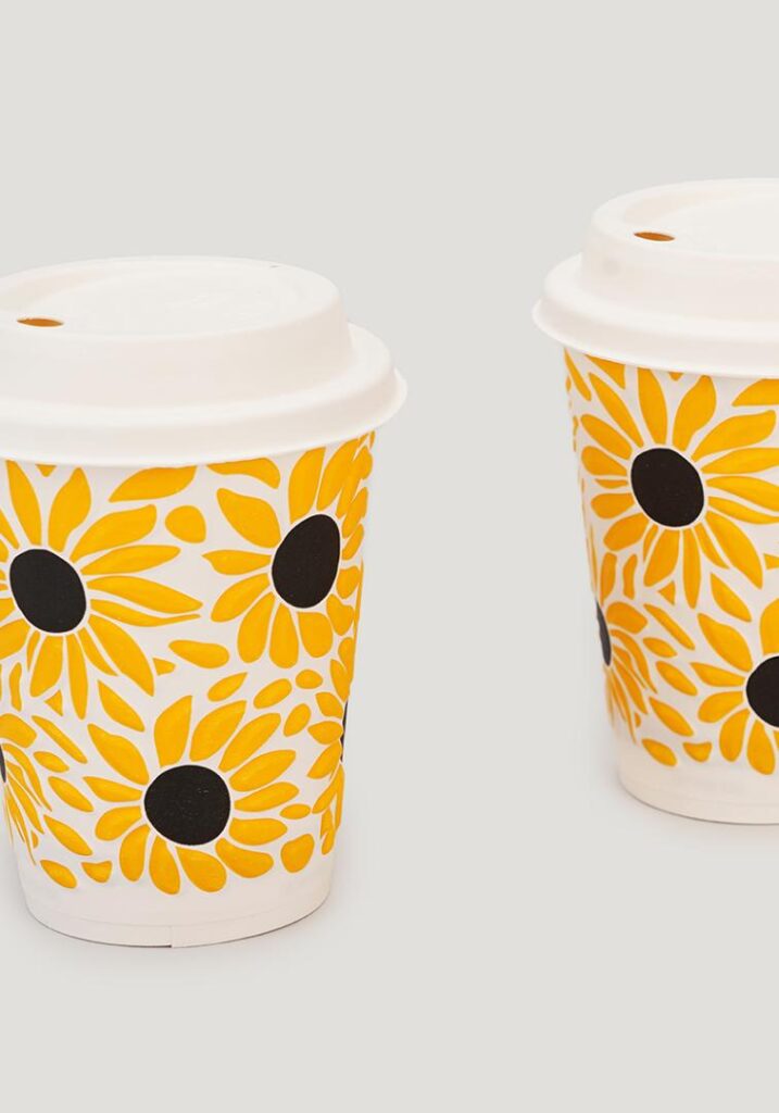 Eco-Friendly Packaging Solutions for Businesses